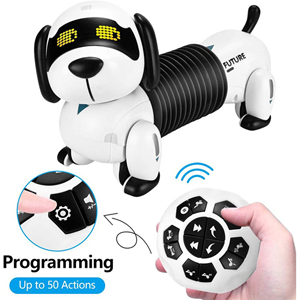 ربات اسباب بازی سگ کنترلی مدل سگ داستان اسباب بازی FOLLOW THE DACHSHUND-اسباب بازی